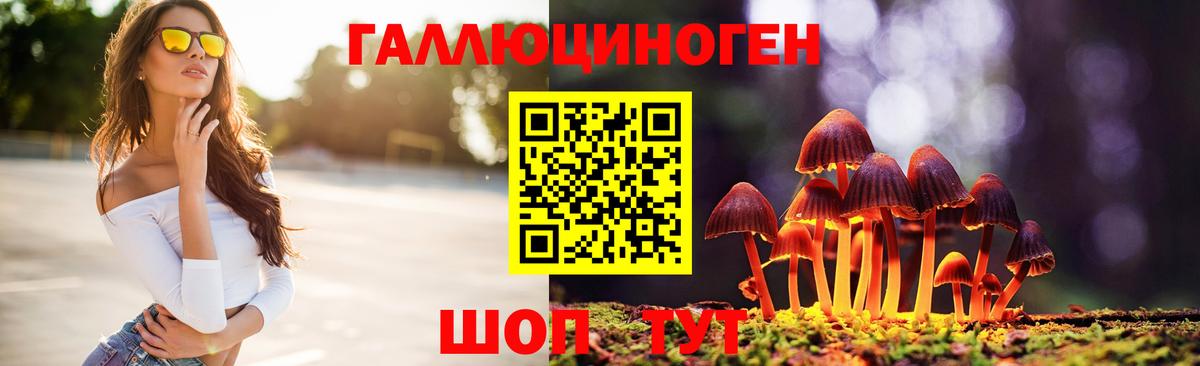 Галлюциногенные грибы GOLDEN TEACHER Зеленогорск